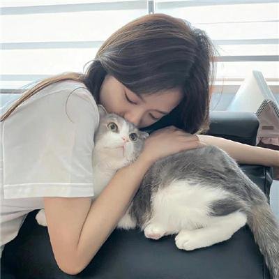 无罪可赦